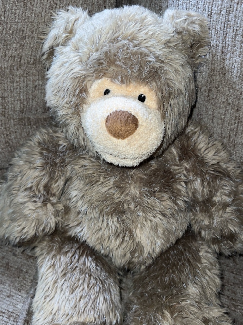 Harley Davidson Bear